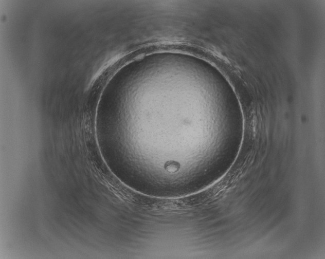 X0000069831255200605221158