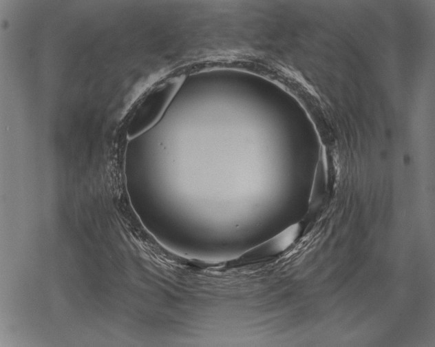 X0000069831256200605221158