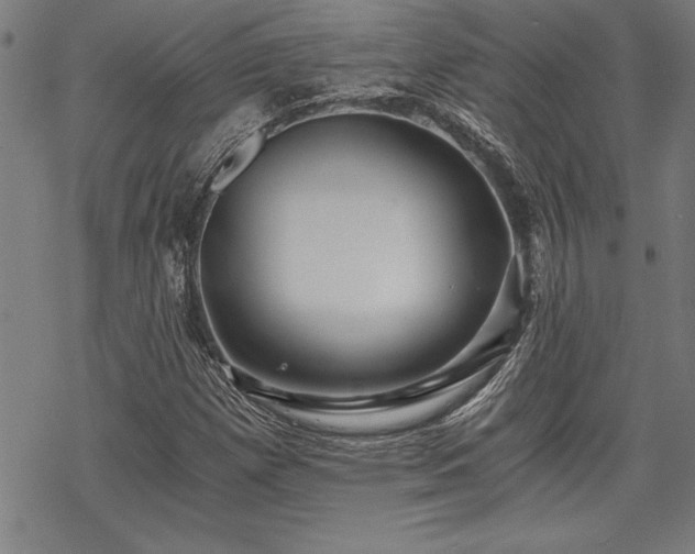 X0000069831257200605221158