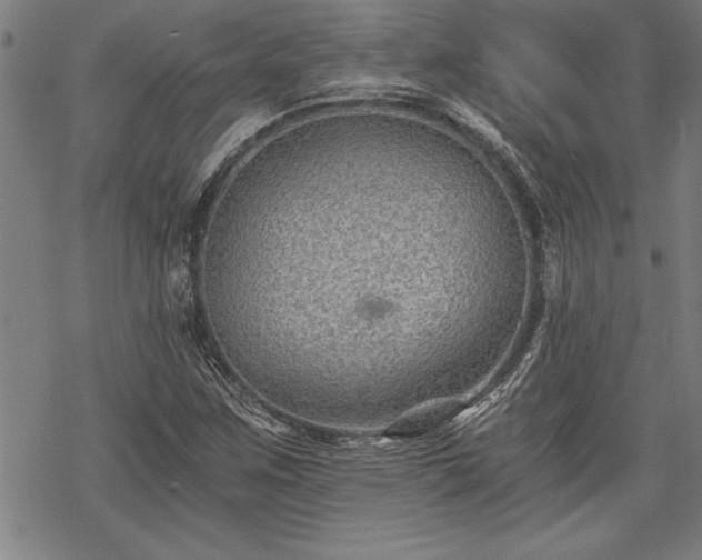 X0000069831259200605221158