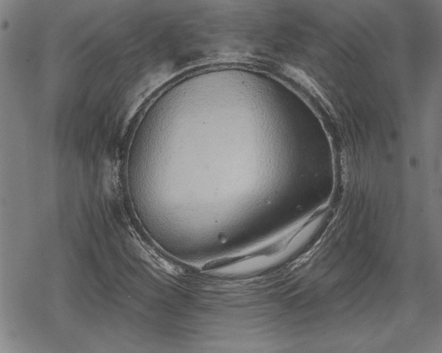 X0000069831260200605221158