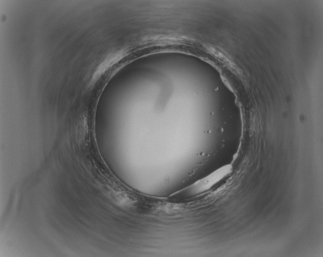 X0000069831261200605221158