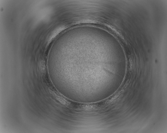 X0000069831266200605221158