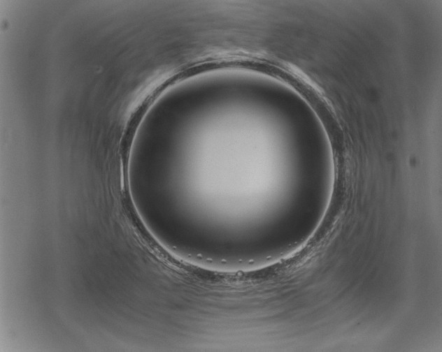 X0000069831269200605221158