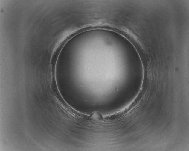 X0000069831270200605221158