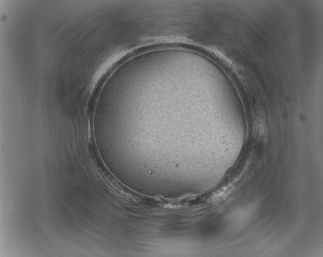 X0000069831271200605221158