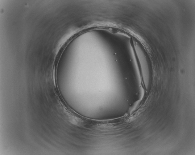 X0000069831272200605221158