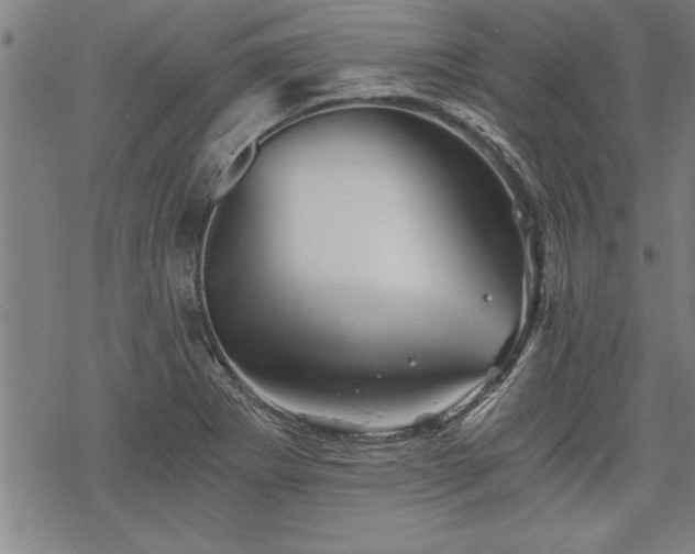 X0000069831273200605221158