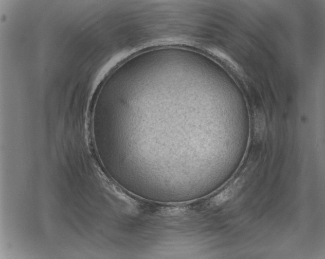 X0000069831278200605221158