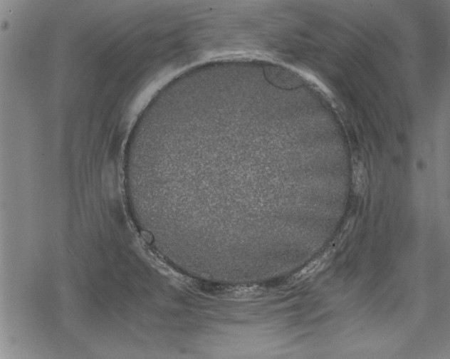 X0000069831279200605221158