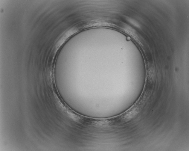 X0000069831282200605221158