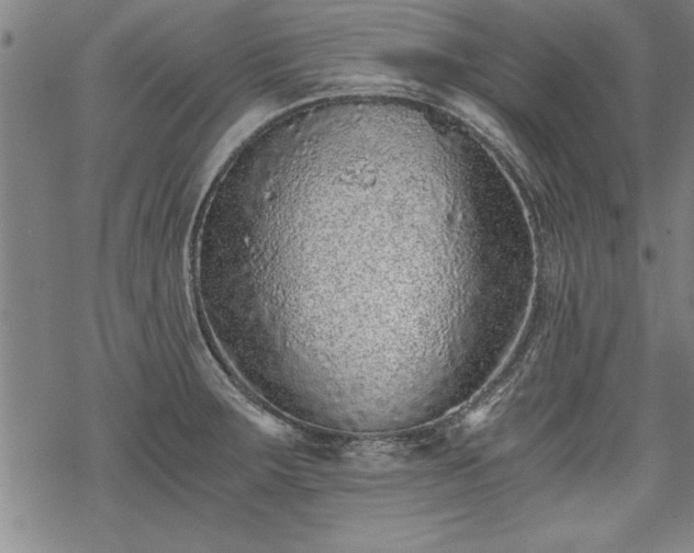 X0000069831283200605221157