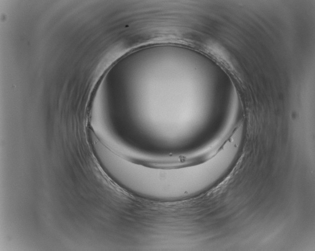 X0000069831284200605221157