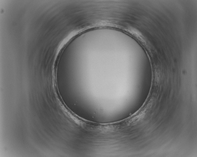 X0000069831286200605221157