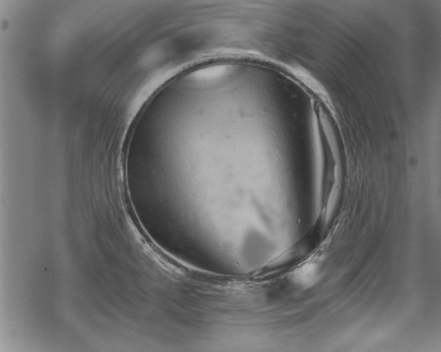 X0000069831287200605221157