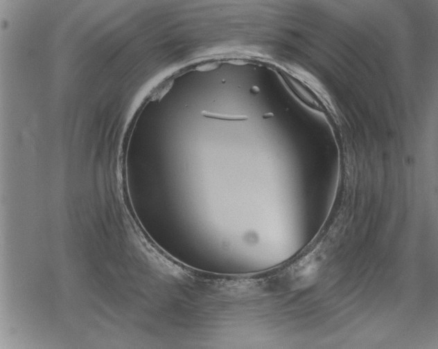 X0000069831288200605221157