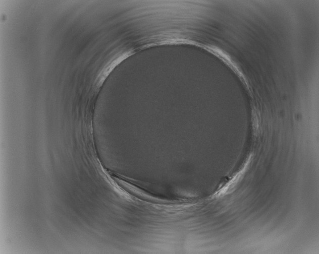 X0000069831289200605221157