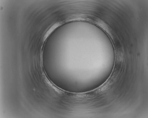 X0000069831290200605221157