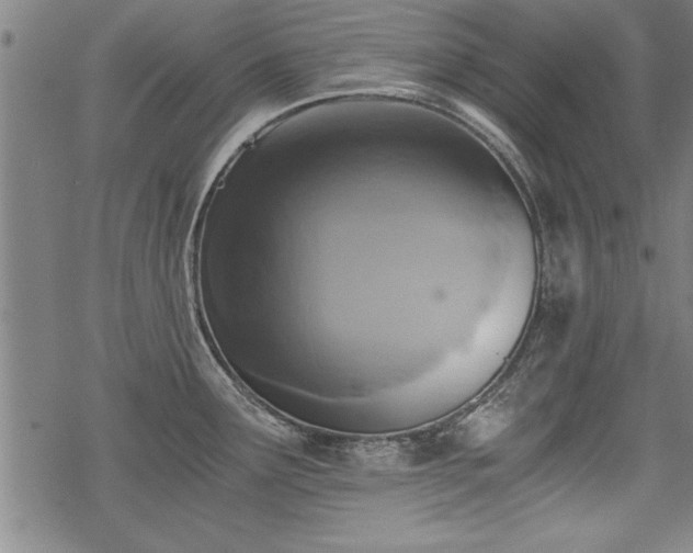 X0000069831291200605221157