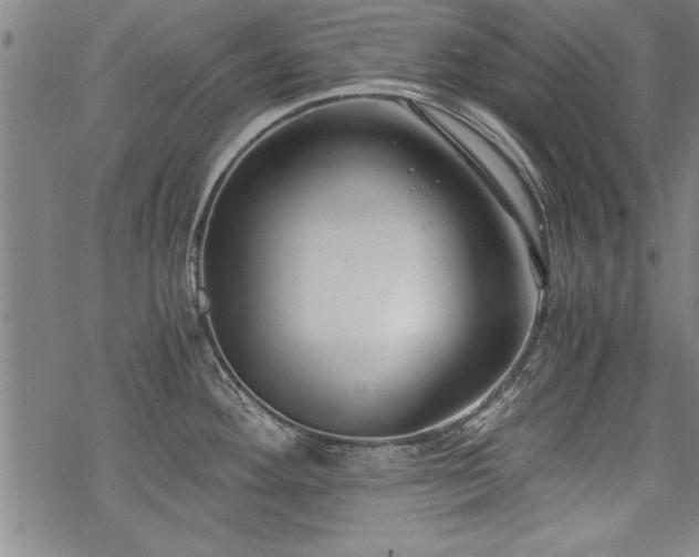 X0000069831292200605221157