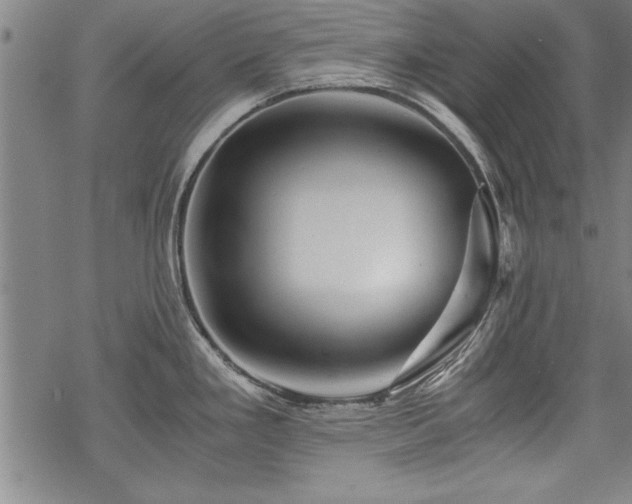 X0000069831293200605221157