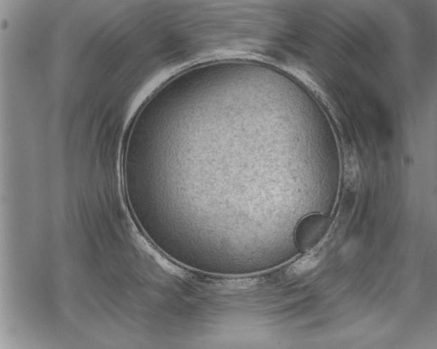 X0000069831294200605221157