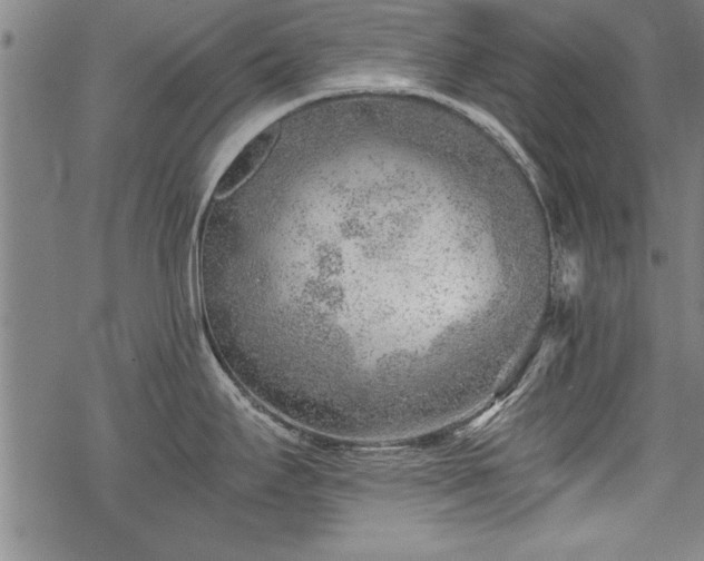 X0000069831295200605221157