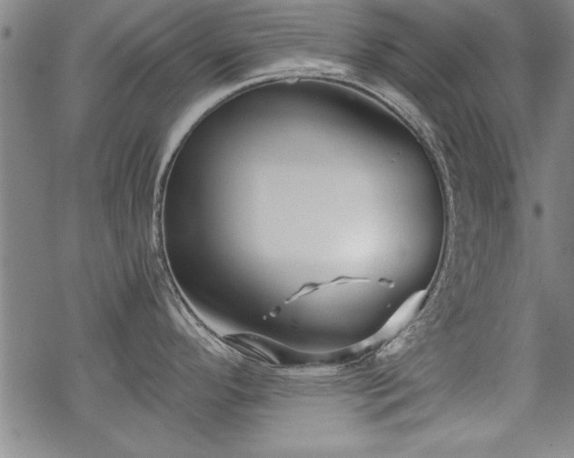 X0000069831296200605221157