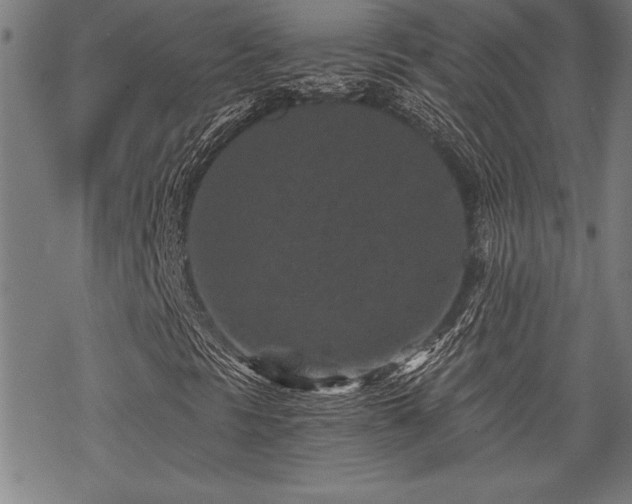 X0000069831297200605221157