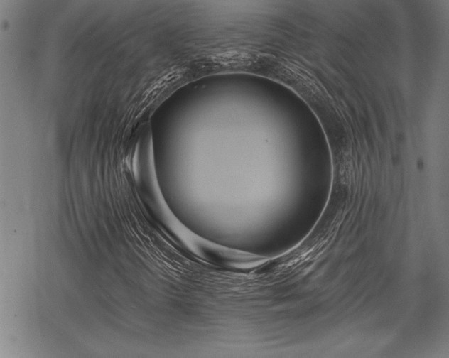 X0000069831298200605221157