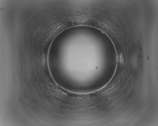 X0000069831299200605221157