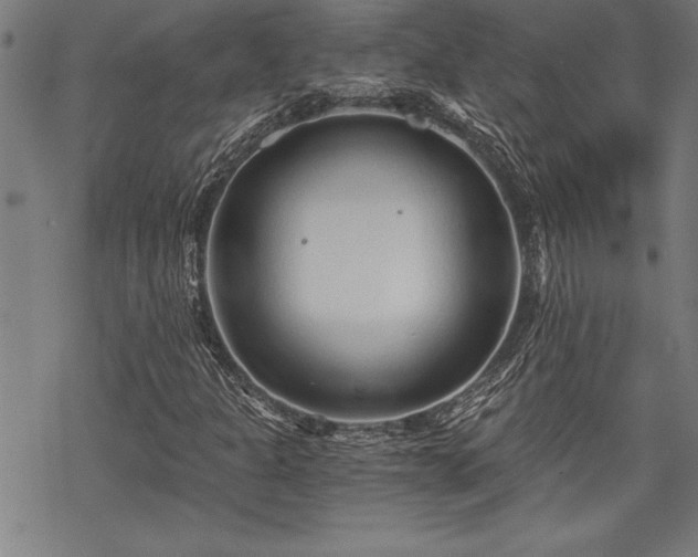 X0000069831301200605221157