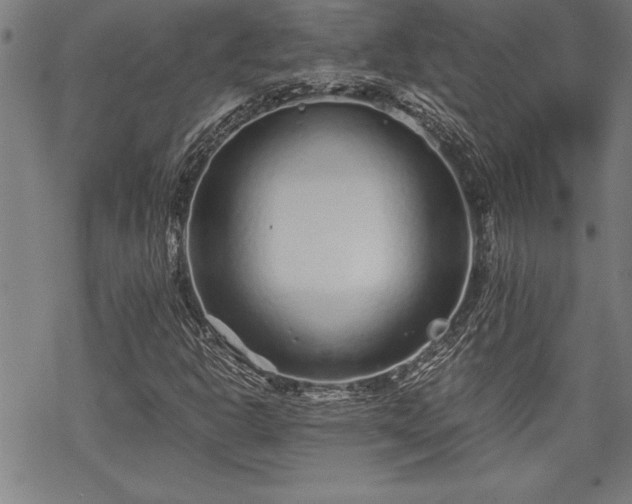 X0000069831302200605221157