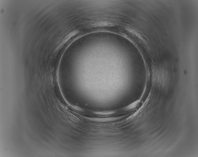 X0000069831305200605221157