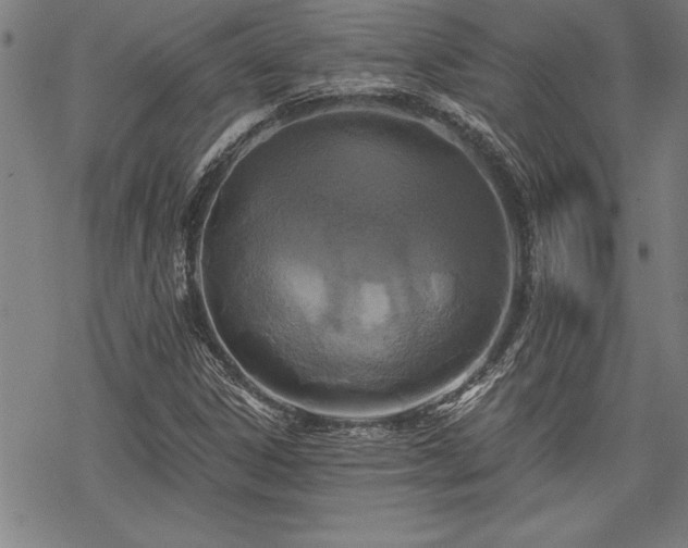 X0000069831306200605221157