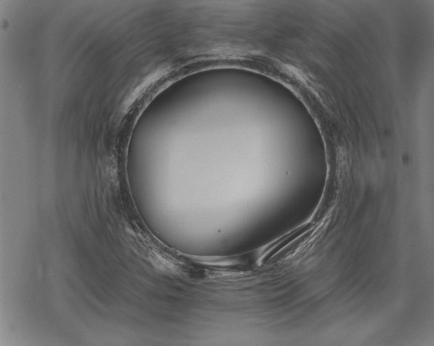 X0000069831307200605221157