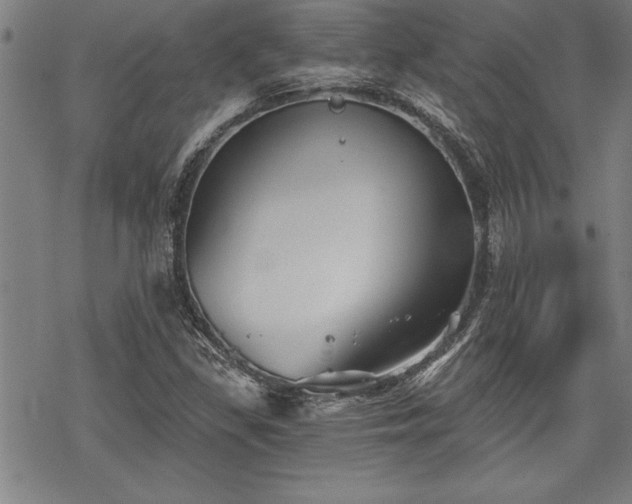 X0000069831309200605221157