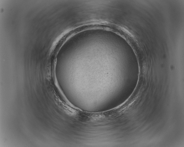 X0000069831310200605221157