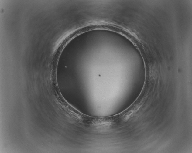 X0000069831311200605221157