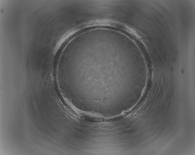 X0000069831312200605221157