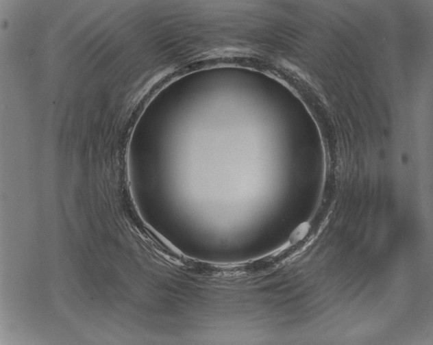 X0000069831313200605221157