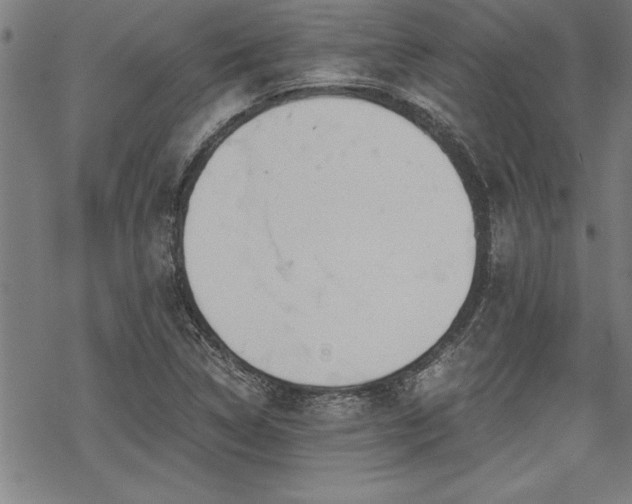 X0000069831314200605221157