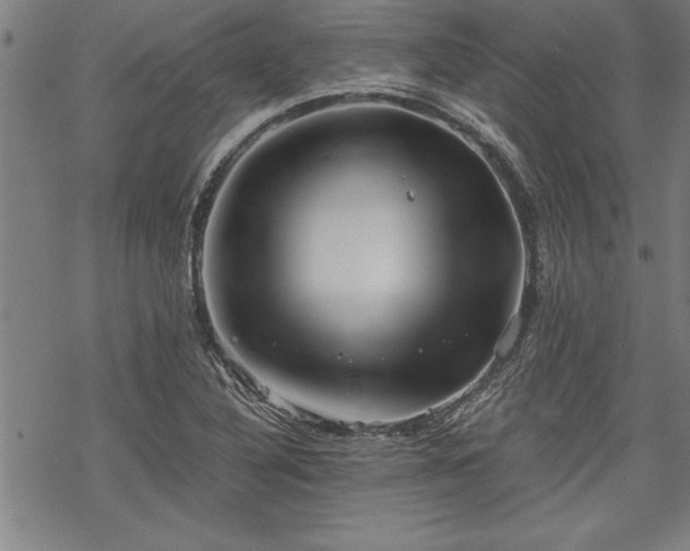 X0000069831316200605221157