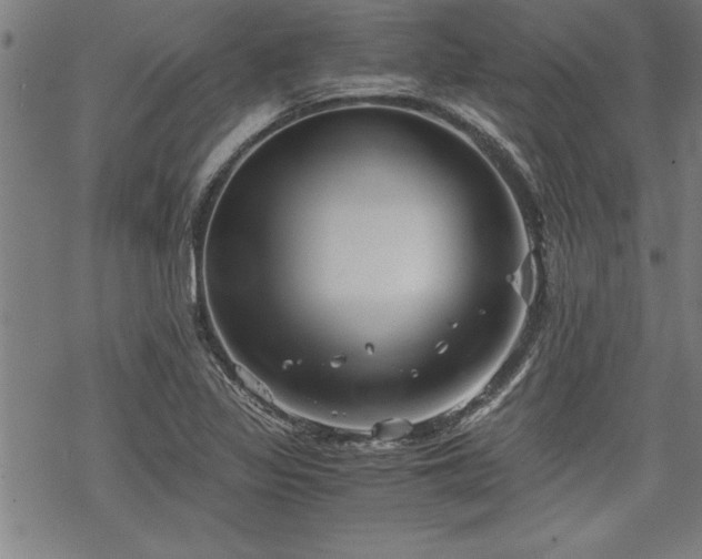 X0000069831317200605221157