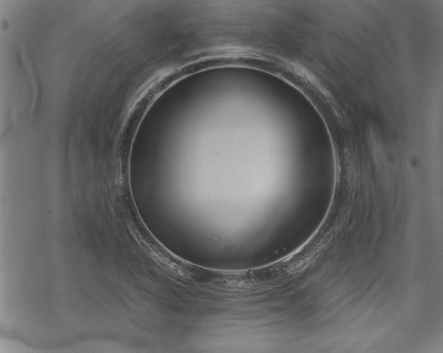 X0000069831318200605221157