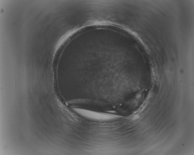 X0000069831319200605221157