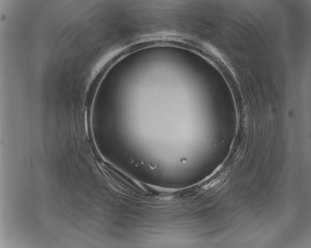 X0000069831320200605221157