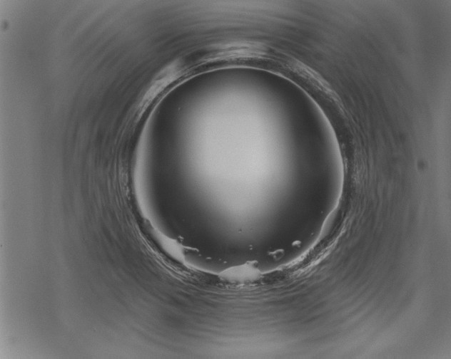 X0000069831321200605221157