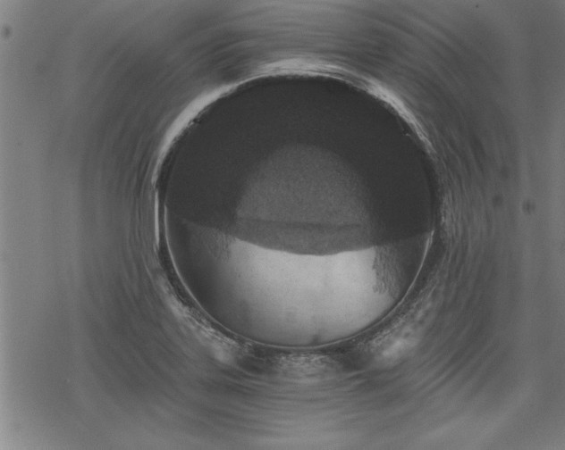 X0000069831323200605221157