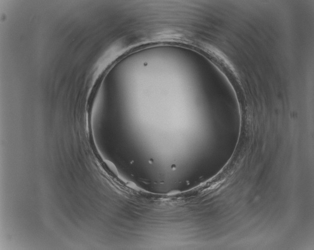 X0000069831324200605221157